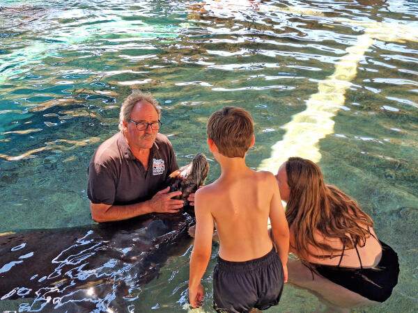 Los leones marinos de Aqua Natura Benidorm participan en un programa terapéutico internacional para jóvenes en riesgo de exclusión
