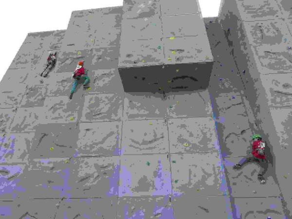 El Rocódromo de La Nucia decidió el Autonómico de Escalada de Dificultad 