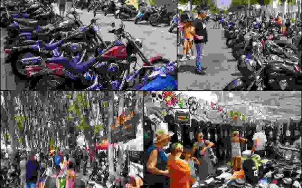 Mas de un millar de Harleys participaron en la VIII concentraci&oacute;n internacional celebrada en el Albir este domingo