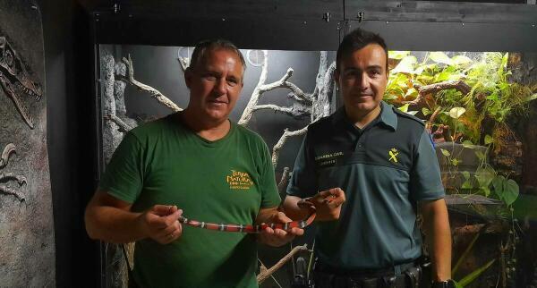 Terra Natura Benidorm recibe una serpiente rescatada por la Guardia Civil en Valencia  