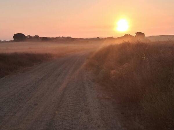 4&deg; Dia del Camino de Santiago desde Benidorm. Montealegre - Chinchilla  48 kil&oacute;metros en 9 h y 30 min. 