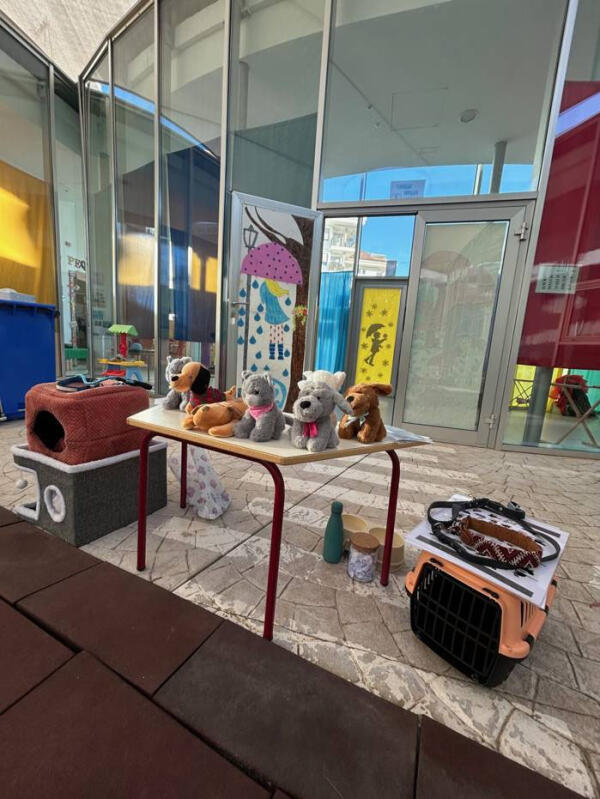   Bienestar Animal imparte un taller de cuidados b&aacute;sicos en animales al alumnado de Minim&oacute;n