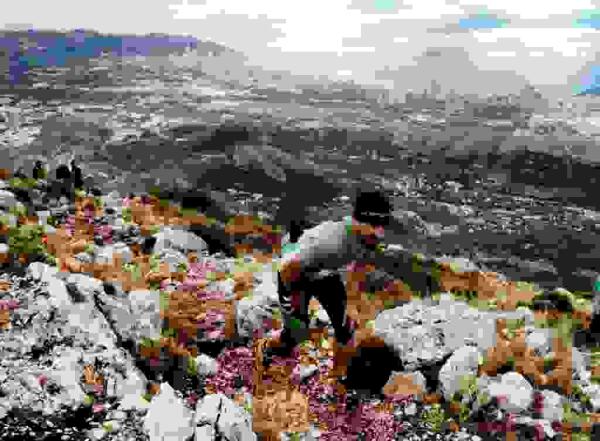 Cuenta atr&aacute;s para la &ldquo;Costa Blanca Trails&rdquo; que se celebra en Finestrat el pr&oacute;ximo 11 de noviembre con cerca de 1.000 inscritos