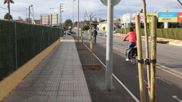 Benidorm inicia una actuación de plantación de nuevo arbolado en todas las zonas de la ciudad