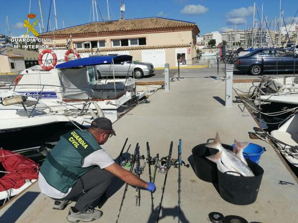 La Guardia Civil de Alicante inspecciona la pesca marítima de embarcaciones de recreo 