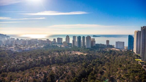El pleno de Benidorm aprobará el lunes licitar el nuevo contrato de parques y jardines 