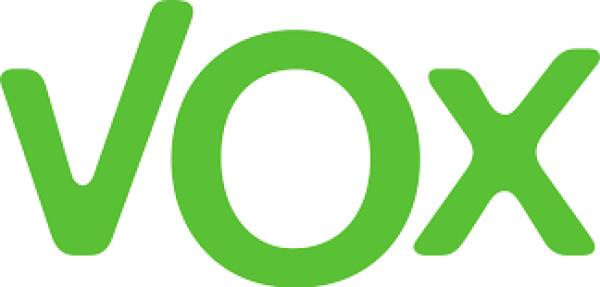 VOX Alicante presentará en el próximo pleno ruegos para mejorar la imagen de la ciudad