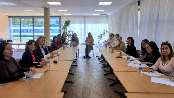 El Consejo Comarcal de Igualdad ultima dos nuevas campa&ntilde;as sobre corresponsabilidad y autocuidado