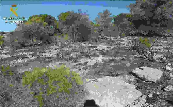 La Guardia Civil esclarece dos incendios provocados en el t&eacute;rmino municipal de Pinoso 
