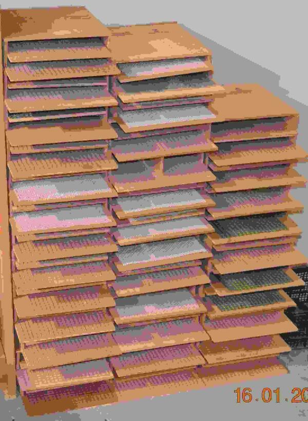 El Ayuntamiento de la Vila y el Grup Ecologista Xoriguer ponen en marcha una campa&ntilde;a para proteger la colonia de murci&eacute;lagos 