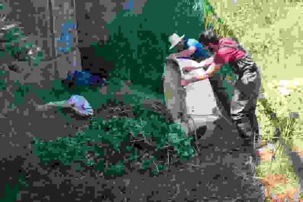 Medio Ambiente controla la proliferaci&oacute;n de las especies acu&aacute;ticas invasoras en la desembocadura del Algar.