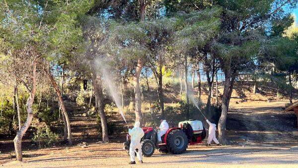 Alumnos del Taller de Empleo realizan trabajos contra la procesionaria del pino en el parque de El Moralet