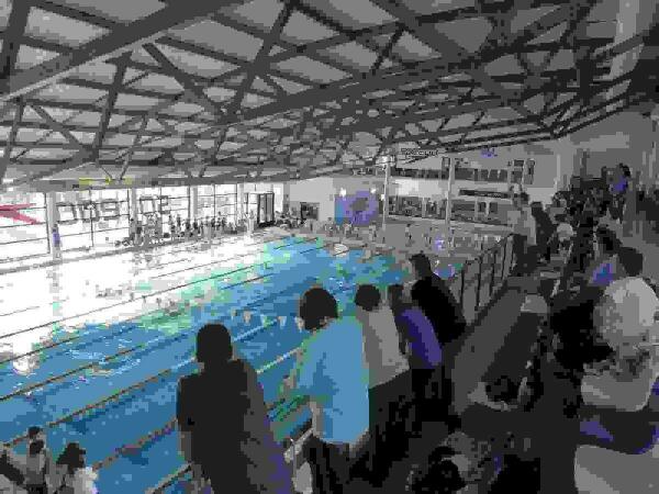 61 nadadores participan mañana en la “Liga Promesas”  en la Piscina de La Nucía
