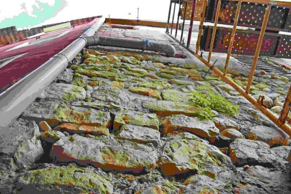 La concejal&iacute;a de Patrimonio Hist&oacute;rico descubre el Baluarte perdido del Portalet.