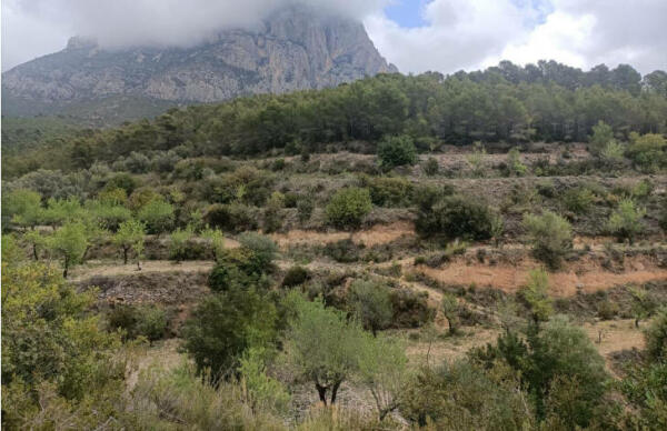 Una empresa proyecta un nuevo camping en la zona del Realet de Finestrat, el segundo en trámite 