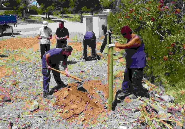 Nuevos #EcoHuertosLaNucia en Residencial Varadero 
