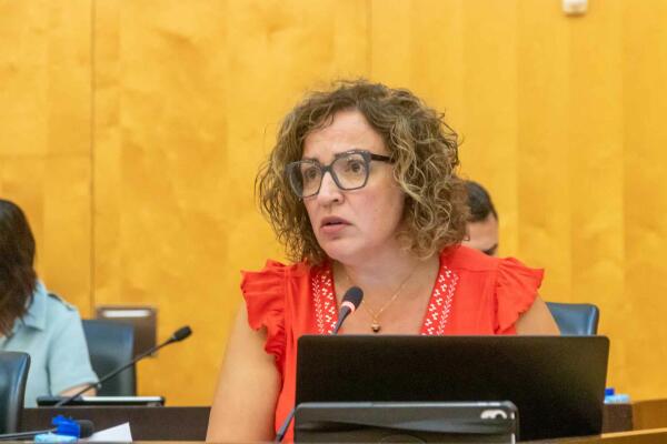 Caselles: &ldquo;El proyecto de la segunda fase de la avenida del Mediterr&aacute;neo avanza adecuadamente y sigue el ritmo que marcan la ley y los t&eacute;cnicos&rdquo;