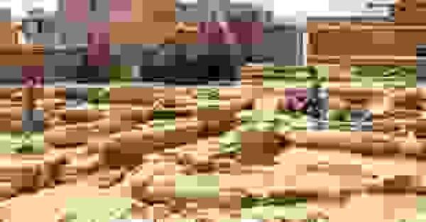 La Vila solicita a la Diputaci&oacute;n la inclusi&oacute;n en los presupuestos 2018 del plan director y la ejecuci&oacute;n de las Termas de Allon 