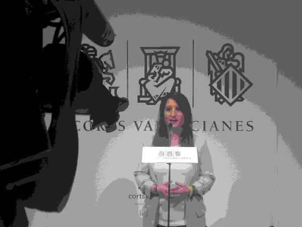 Vega (VOX): &ldquo;Si la consellera de Sanidad oculta datos sobre el coronavirus deber&iacute;a dimitir ya&rdquo;
