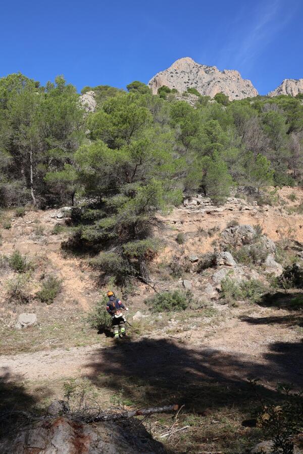 SIGUEN LAS ACTUACIONES DE PREVENCIÓN DE INCENDIOS FORESTALES EN PARTIDAS RURALES COMO RAMAL DE LOIX Y LA FONT DEL MOLÍ  