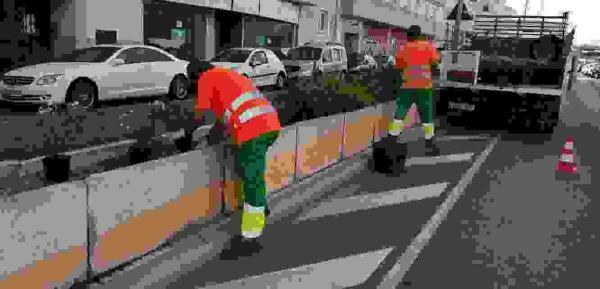 400 plantas para la Avenida Juan Alvado y el Cam&iacute; de l&acute;Algar