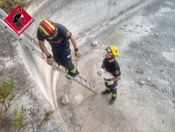 RESCATE DE UN CAN EN LA NUCIA 