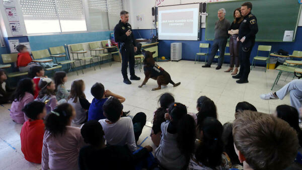 La Unidad Canina de la Polic&iacute;a Local acerca su trabajo a los escolares de Benidorm