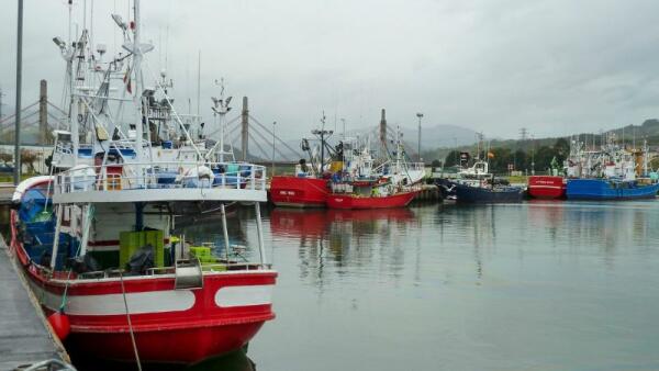 Nuevas restricciones de la UE a la pesca