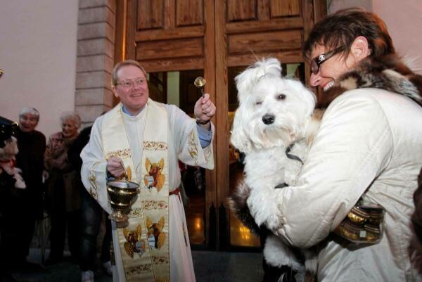 L’Alfàs celebrará el domingo 21 la festividad de San Antón con la bendición de animales en la plaza Mayor