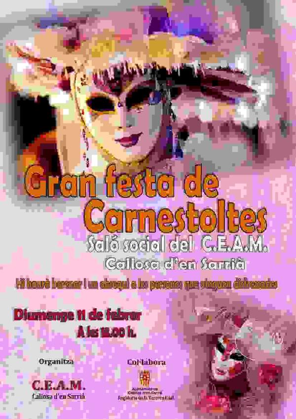 Gran fiesta de Carnaval en el CEAM 