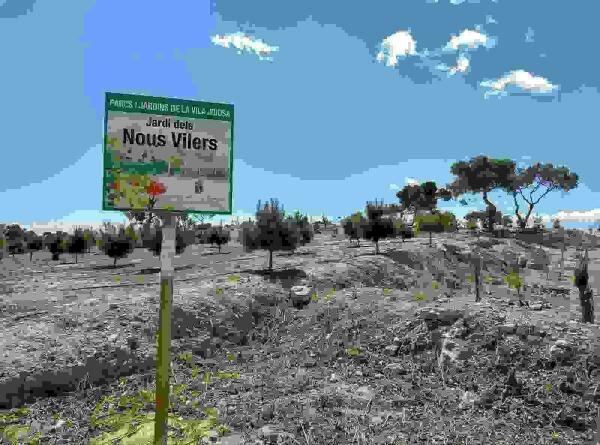 Más de 500 personas participaron en la tercera edición de ‘Arbre per naixement’ en La Vila