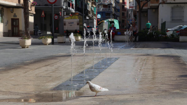 Benidorm inicia el expediente de contrataci&oacute;n del nuevo servicio de mantenimiento de las fuentes ornamentales  