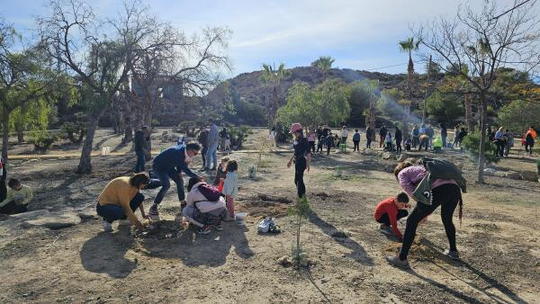 Más de 500 especies autóctonas son plantadas en el paraje natural junto a la playa del Bol Nou para celebrar el Día del Árbol 