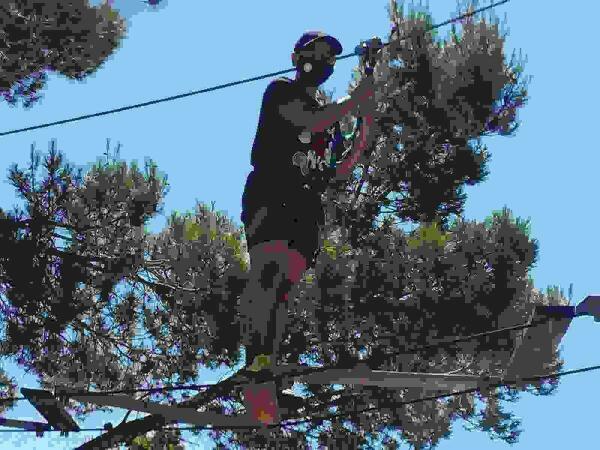 El Parque de Aventura de La Nuc&iacute;a &ldquo;TirolinasGO&rdquo; reabre sus puertas.