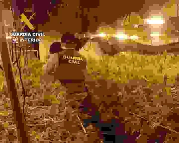 La Guardia Civil desarticula en Mutxamel una organización criminal especializada en el cultivo indoor de marihuana