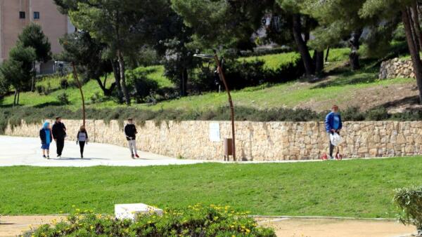 Benidorm pide a la Diputación una subvención para el proyecto de plantación de nuevo arbolado en parques y avenidas 