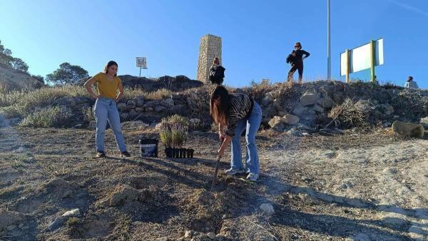 Centenares de ciudadanos participan en la jornada de reforestación del paraje de la Malladeta para celebrar el Día del Árbol