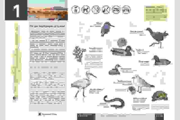 Altea &middot; Turismo mejora la se&ntilde;alizaci&oacute;n de los paneles informativos del r&iacute;o Algar, incorporando el ingl&eacute;s en sus textos
