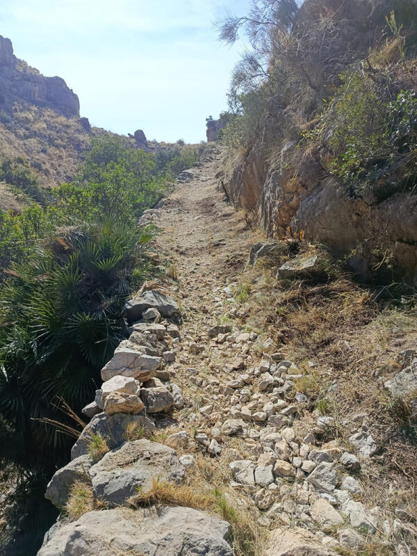 Medio Ambiente continúa con la conservación y mejora del sendero PR-CV7 de Bèrnia