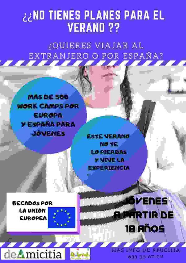 La Concejalía de Juventud organiza un campo internacional de voluntariado medioambiental en el entorno de Finestrat 
