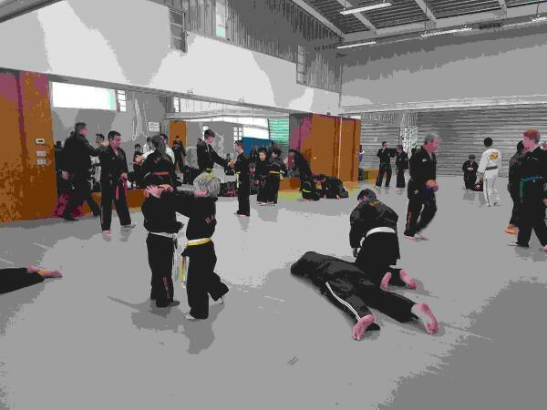 El Curso Nacional de Hapkido form&oacute; 40 deportistas 