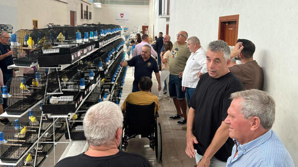 El XXIV Campeonato de Ornitología ‘Villa de Benidorm’ se cierra con más de 800 aves inscritas 