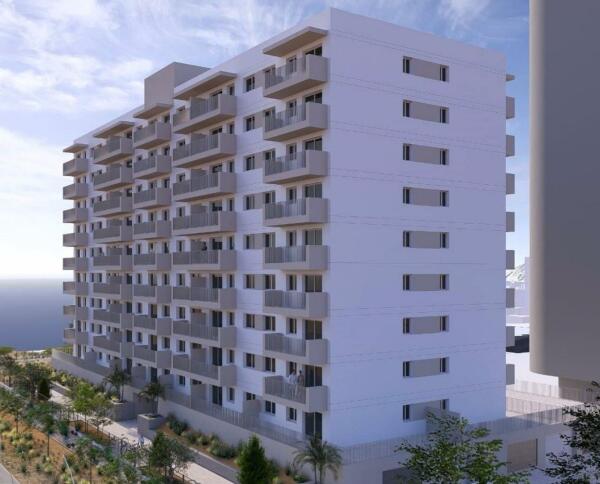 El PPCV acusa al PSPV de &ldquo;mentir y manipular&rdquo; con las 117 viviendas de Benidorm: &ldquo;Su precio ya qued&oacute; fijado en la licitaci&oacute;n&rdquo;