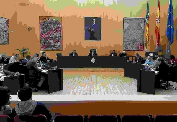El pleno de Benidorm aprueba por amplia mayoría el Plan de Accesibilidad Universal