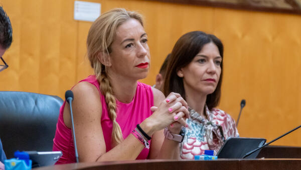 Ana Pellicer: “El equipo de gobierno remitió al PSOE todas las actas de la Comissió el 2 de julio y la señora Escoda las leyó el día 3” 