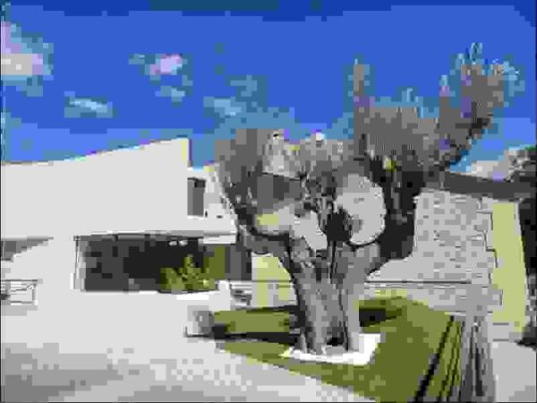 La Nuc&iacute;a &middot; El Centro 3&ordf; Edad  &ldquo;La Casilla&rdquo; cumple tres a&ntilde;os con 17.960 usuarios