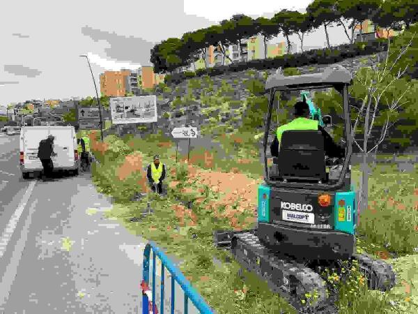 Los Servicios Técnicos de la Vila Joiosa renuevan la canalización del alumbrado en la zona del Paraíso