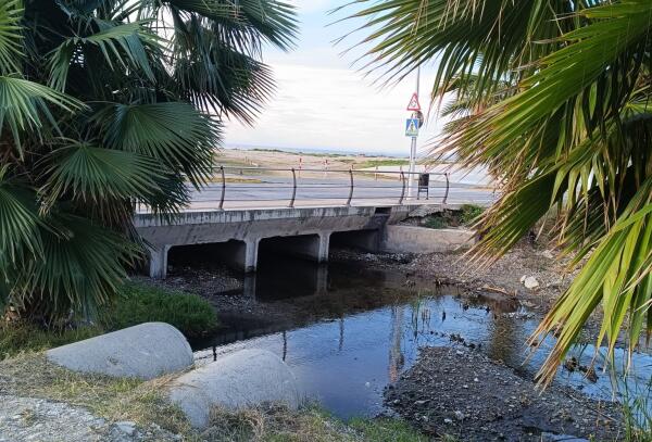 Villajoyosa retira vegetaci&oacute;n invasora en el cauce urbano del r&iacute;o Amadorio para mejorar la seguridad, biodiversidad y limpieza del entorno 