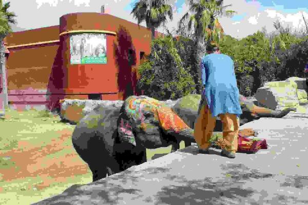 Terra Natura Benidorm se prepara para el Festival Holi con 200 kilos de polvos y 5.000 botellas de colores