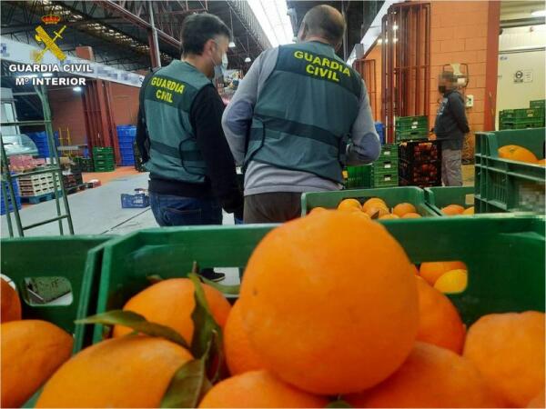 Intervenidas en Alicante 20 toneladas de naranjas contaminadas con un plaguicida prohibido